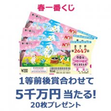 日替わり懸賞（春一番くじ 20枚）の画像