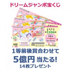 日替わり懸賞（ドリームジャンボ宝くじ 14枚）の画像