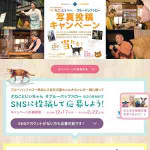 「ねことじいちゃん 映画鑑賞ペアチケット、ドライフード、他」の画像