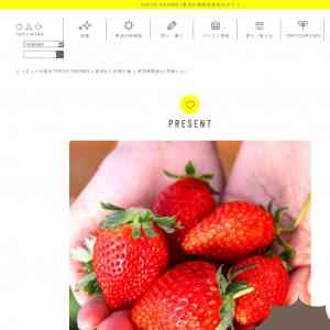 「東京練馬産の完熟いちご」の画像