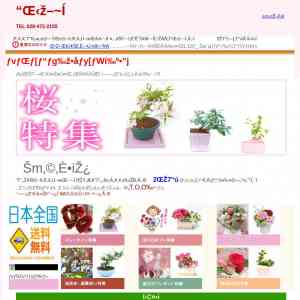 「優美に花咲くミニ盆栽」の画像