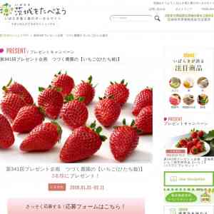 「つづく農園の【いちご(ひたち姫)】」の画像