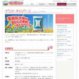 「青森県産米青天の霹靂　５kg」の画像