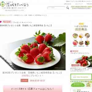 「茨城県いちご経営研究会のいちご2パック入り1箱」の画像