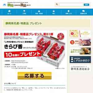 「しずおか食セレクション認定商品のきらぴ香　DX（２パック入り）」の画像