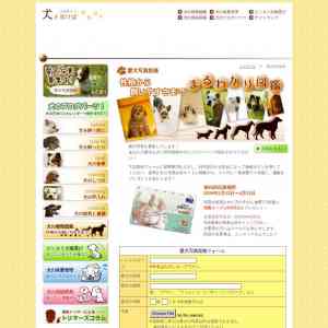 「図書カード」の画像