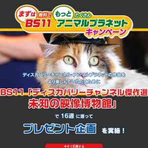 「ビックカメラギフトカード1万円分 他」の画像