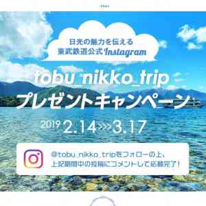 「金谷ホテル宿泊券、東武ワールドスクウェアペア入場券」の画像