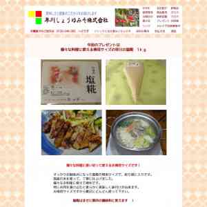 「お得用サイズの早川の塩糀（絞り袋入り)」の画像