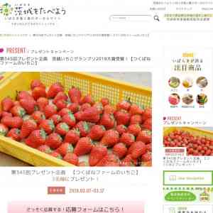 「茨城いちごグランプリ2019大賞受賞！【つくばねファームのいちご】」の画像