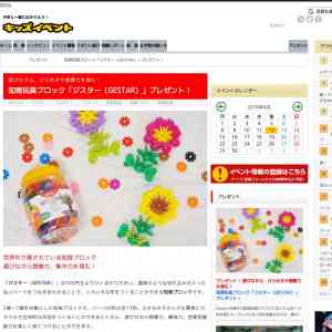 「遊びながら、ひらめきや想像力を育む！知育玩具ブロック「ジスター（GESTAR）」」の画像