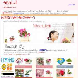 「優美に花咲くミニ盆栽」の画像