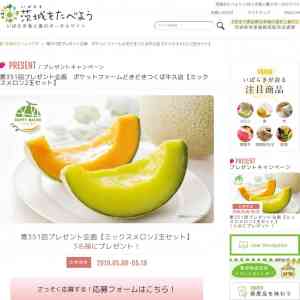 「ポケットファームどきどきつくば牛久店【ミックスメロン2玉セット】」の画像