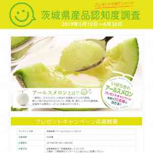 「茨城県産『アールスメロン』1玉入り」の画像