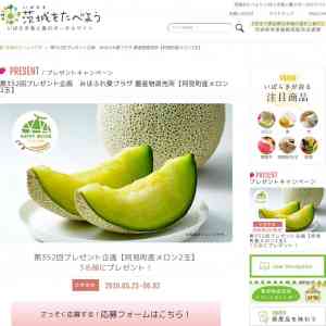 「阿見町産メロン2玉」の画像