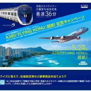 「ANA成田＝ホノルル線 ペア往復航空券」の画像