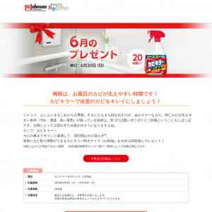 「カビキラー 特大サイズ(1000g)」の画像