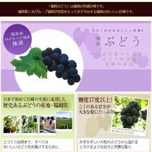 「福岡ぶどう「巨峰」」の画像