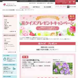 「ハッピーレインボーアレンジメントイエロー」の画像