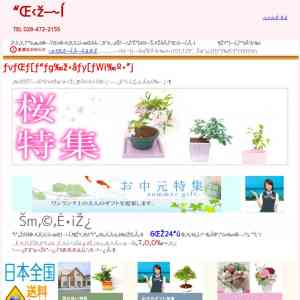 「優美に花咲くミニ盆栽」の画像