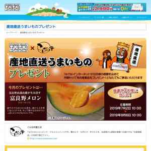 「北海道 「富良野メロン（中玉・2玉入り）」」の画像