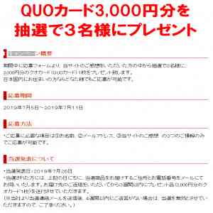 「3,000円分のQUOカード」の画像