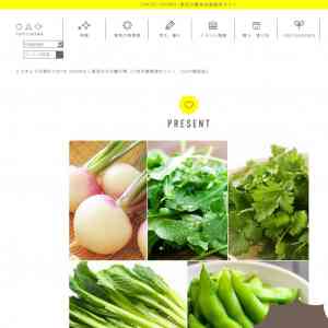 「7月の夏野菜セット！ （GAP認証品）」の画像