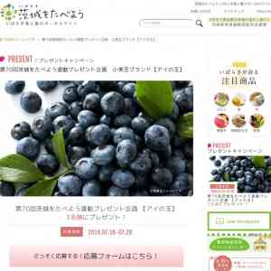 「小美玉市産ブルーベリー「アイの玉」」の画像