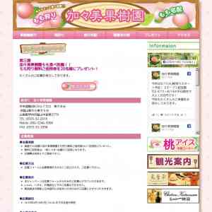 「【山梨】加々美果樹園　桃狩り無料ご招待券」の画像