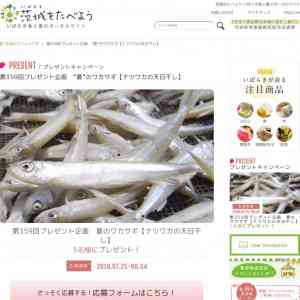 「&ldquo;夏&rdquo;のワカサギ【ナツワカの天日干し】」の画像