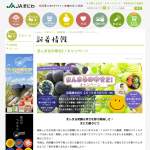 「まにわ産ぶどう詰め合わせ」の画像