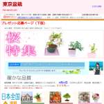 「優美に花咲くミニ盆栽」の画像