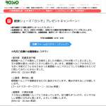 「かかとが無い？腰痛・膝痛改善予防シューズ「ロシオ」」の画像