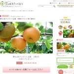 「茨城のブランド梨【恵水】」の画像
