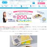 「中身が隠せるマチ付メッシュケース」の画像