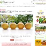 「いばらきの梨」の画像