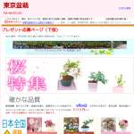 「優美に花咲くミニ盆栽」の画像