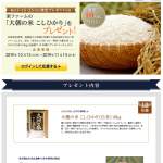 「「栄ファーム」より「大朝の米 こしひかり10kg」」の画像