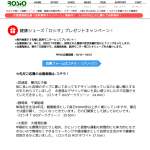 「腰痛・膝痛の改善予防「かかとがない？健康シューズ・ロシオ」」の画像