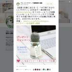 「水で育てるかわいいサボテン・ガラス容器付き」の画像