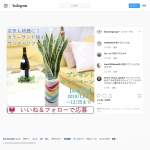 「インスタ映えの観葉植物！空気も綺麗に！サンスベリア・カラーサンド「レインボー」ガラス容器鉢植え」の画像