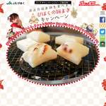 「岡山県ＪＡびほく産丸餅１ケース（４０個入り）」の画像