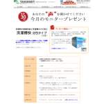 「洗濯槽のカビ防止・除菌消臭「洗濯槽快」分包タイプ」の画像