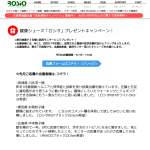 「腰痛・膝痛の改善予防「かかとがない？健康シューズ・ロシオ」」の画像