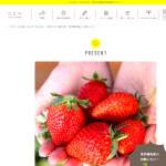 「東京練馬産の 完熟いちご！」の画像