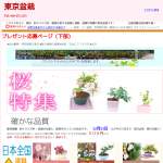 「優美に花咲くミニ盆栽」の画像