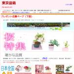 「優美に花咲くミニ盆栽」の画像