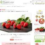 「茨城県いちご経営研究会【いばらキッス】」の画像