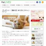 「猫ライフを彩るスペシャルなプレゼントが当たる！【猫の日】ありがとうキャンペーン！」の画像