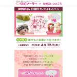 「グルメ・QUOカード」の画像